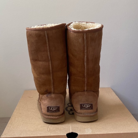 Tall UGGS in Chestnut - Picture 13 of 14